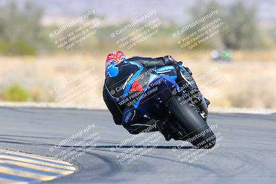 media/Feb-12-2022-SoCal Trackdays (Sat) [[3b21b94a56]]/Turn 14 Backside (1020am)/